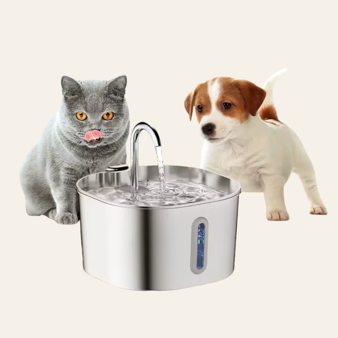 Fontaine à eau inox Premium — 2,2L pour chien et chat