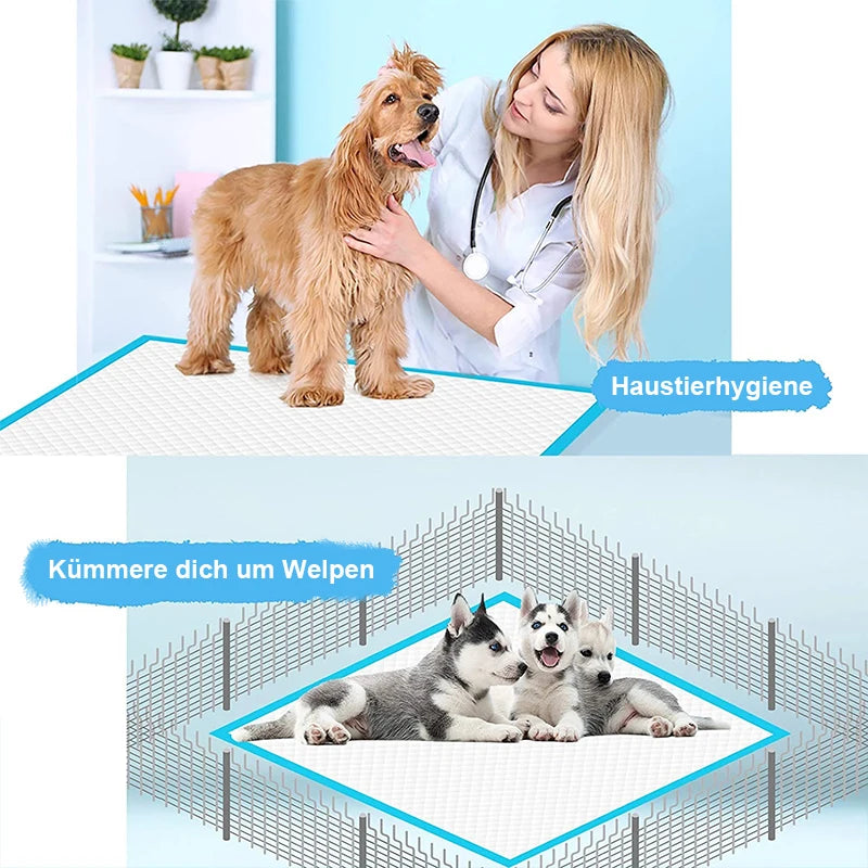 100pc/200pc Pet diapers 60*60cm/60*90cm Cats Dog Diapers Super Absorbent Pet Diaper Dog Pee Pad Quick dry Urine Nappy Mat