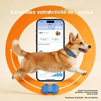 Traceur GPS 4G pour chien et chat — Suivi en temps réel, waterproof IP67