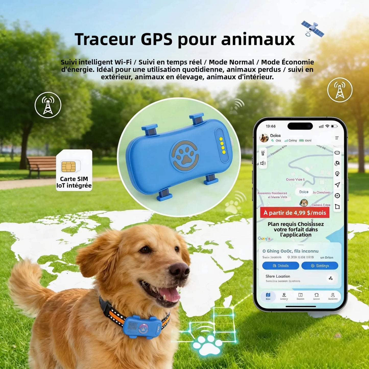 Traceur GPS 4G pour chien et chat — Suivi en temps réel, waterproof IP67