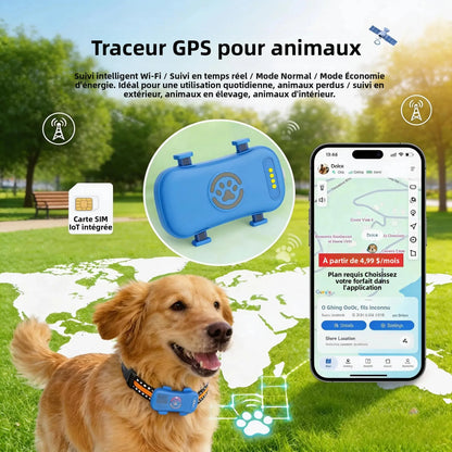 Traceur GPS 4G pour chien et chat — Suivi en temps réel, waterproof IP67