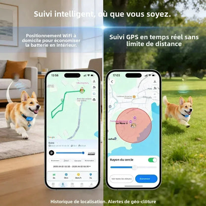Traceur GPS 4G pour chien et chat — Suivi en temps réel, waterproof IP67