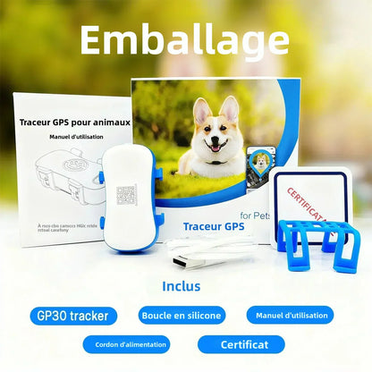 Traceur GPS 4G pour chien et chat — Suivi en temps réel, waterproof IP67