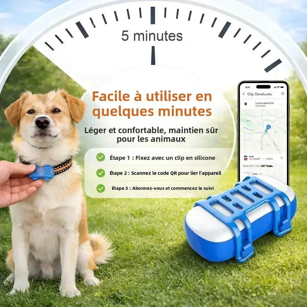 Traceur GPS 4G pour chien et chat — Suivi en temps réel, waterproof IP67