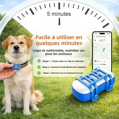 Traceur GPS 4G pour chien et chat — Suivi en temps réel, waterproof IP67
