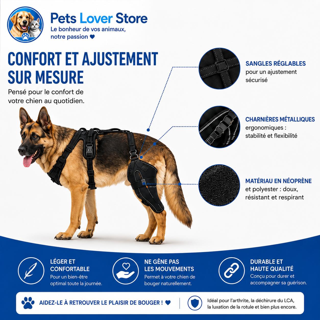 Orthèse de genou pour chien — Mobilité, stabilité et récupération