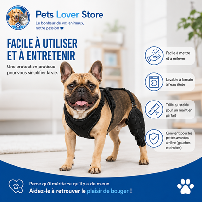 Orthèse de genou pour chien — Mobilité, stabilité et récupération